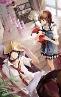 农家小厨神医
